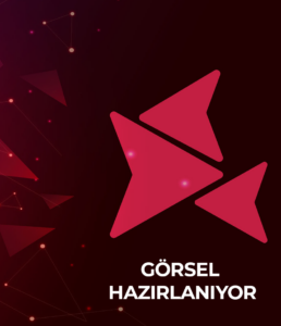 Cezayir Ülke Raporu