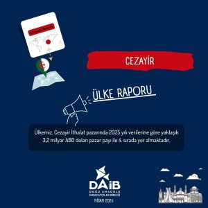Cezayir Ülke Raporu